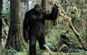 Cực sốc: Quái vật Bigfoot là hậu duệ của người ngoài hành tinh?