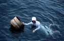 Bí mật nhà nghề của những thợ lặn bắt bào ngư dâng vua ở Nhật