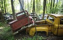 Ghé thăm “nghĩa địa” xe cổ lớn nhất thế giới nằm giữa rừng