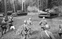 Quân đồng minh hỗ trợ Liên Xô chống phát xít Đức thế nào?