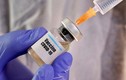 Nga thử nghiệm xong vaccine COVID-19, sẽ tiêm phòng hàng loạt vào tháng 10