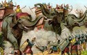 Bí mật đàn voi chiến hung dữ của thế giới cổ đại
