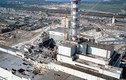 Sự thực thảm họa Chernobyl năm 1986 khiến chuột trở thành quái vật?