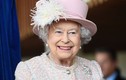 Choáng ngợp số động vật Nữ hoàng Anh Elizabeth II sở hữu 