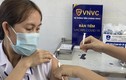 Bà Rịa - Vũng Tàu thu hồi văn bản đăng ký mua 2,2 triệu liều vắc-xin Covid-19