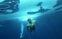 Những kỷ lục khó tin của “người cá” nổi tiếng nhất thế giới