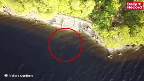 Cực nóng: Tóm được quái vật hồ Loch Ness từ ảnh chụp trên cao? 