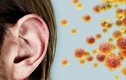 Giải mã bất ngờ về chứng “tai COVID-19” gây ám ảnh nhiều người