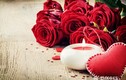 Ngày Valentine, các cặp tình nhân thường tặng hoa hồng đỏ, vì sao?