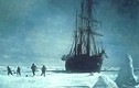 Vụ sống sót thần kỳ của đoàn thám hiểm Nam Cực năm 1915