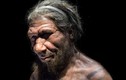 Giải mã bất ngờ: Người Neanderthals tuyệt chủng vì... săn bắt thỏ?