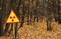Sự thật hãi hùng “khu rừng Đỏ” liên quan đến thảm họa hạt nhân Chernobyl 