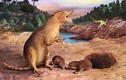 Lộ diện hoá thạch động vật có vú lâu đời nhất thế giới