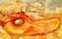Bí ẩn “mắt quỷ” hiện diện giữa sa mạc Gobi: Chuyên gia giải mã