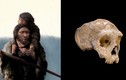 Chuyên gia "sốc" vì hóa thạch loài người Neanderthal