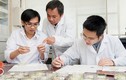Ấn tượng nhà khoa học Việt phát minh chất chống ung thư máu từ gạo