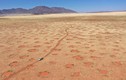 Nóng: Giải mã thành công những “vòng tròn thần tiên” ở sa mạc Namib