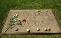 Vì sao trước mộ Friedrich Đại đế thường có củ khoai tây? 