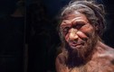 Phát hiện loài tiến hóa như con người ngày nay từ 40.000 năm trước 
