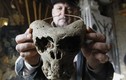 Khó giải 2 hộp sọ dị thường tìm thấy ở Nga: Không giống loài người! 