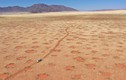 Lời giải nào cho những “vòng tròn thần tiên” ở sa mạc Namibia?