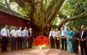Những ý nghĩa của hoạt động Bảo tồn Cây Di sản Việt Nam
