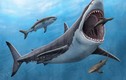 Cuộc tuyệt chủng nào suýt “xóa sổ” toàn bộ cá mập trên Trái Đất?