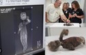Chụp CT, lộ sự thật ngỡ ngàng về xác ướp “nàng tiên cá” Nhật Bản