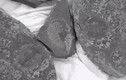 Phong tỏa công trường, chuyên gia khai quật “kho báu” 500 triệu tuổi
