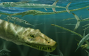 Phát hiện hóa thạch rồng cổ dài 2,3m, lộ sự thật chấn động