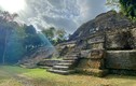 Tìm ra nguyên nhân chấn động khiến nền văn minh Maya sụp đổ