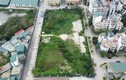 Hà Nội: Dự án nhà ở xã hội hàng nghìn m2 đang... ‘nuôi cỏ’