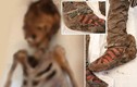 Bí ẩn gây tò mò về xác ướp “đi giày adidas"