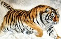 Dự đoán ngày mới 22/4/2025 cho 12 con giáp: Dần tăng tốc