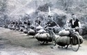 Chiến thắng Điện Biên Phủ: Chiến thắng của sức mạnh đại đoàn kết dân tộc