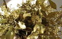 Kinh ngạc loại cây trồng đầy ở Việt Nam có thể... trổ ra vàng