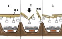 6 cạm bẫy bảo vệ lăng mộ Tần Thủy Hoàng: Thứ nào đáng sợ nhất?