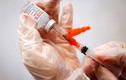 Nhật khẩn cấp dừng sử dụng 1,6 triệu liều vaccine Moderna vì chất lạ