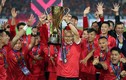 Nếu vô địch ASEAN Cup 2024, ĐT Việt Nam "đút túi" bao nhiêu tiền?