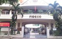 Fideco lỗ gần 2 tỷ đồng trong 6 tháng đầu năm