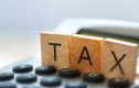Vì sao Công ty An Thịnh bị cưỡng chế thuế?