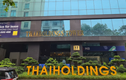 Thaiholdings rút vốn tại khoản đầu tư vào LienVietPostBank dù lỗ nặng