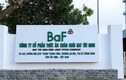 BaF Việt Nam sắp thâu tóm doanh nghiệp chăn nuôi lợn ở Gia Lai