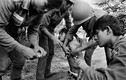 Loạt hình ám ảnh về chiến tranh Việt Nam của A. Abbas (2)