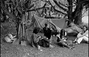 Soi lối sống dị của trào lưu Hippie thập niên 1960-1970 (2)