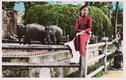  Du hí Thảo Cầm Viên Sài Gòn qua ảnh tô màu một thế kỷ trước