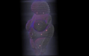 Nhìn xuyên thấu “thần vệ nữ Willendorf”, phát hiện bí mật gây choáng