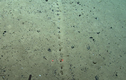 Phát hiện dấu tích lạ dưới Đại Tây Dương: Của người ngoài hành tinh?