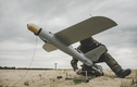 Ukraine phát triển vũ khí tầm bắn 1.000 km, đầu đạn 75 kg