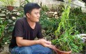 "Nhỡ mồm", 8X Lạng Sơn kiếm trăm triệu từ phong lan rừng
